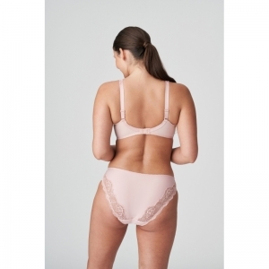 madison powder rose
