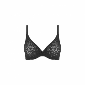 halo lace zwart