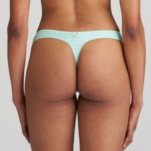 avero miami mint