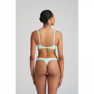 avero miami mint