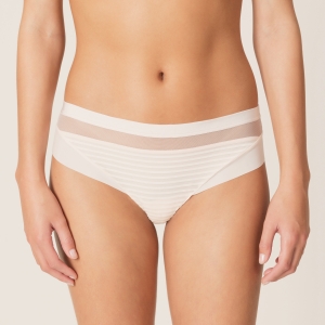 salvador venus