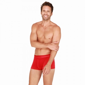 ho1 rood