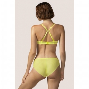 eden rock blazing yellow