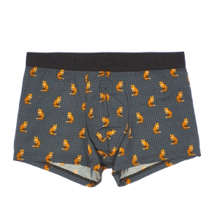 fox grey