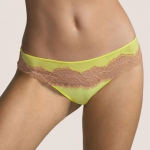 eden rock blazing yellow