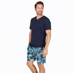 safari navy