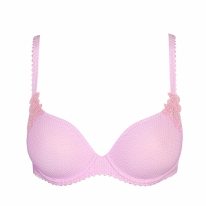 paloma lily rose