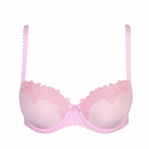 paloma lily rose