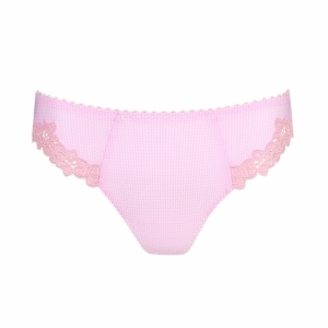 paloma lily rose