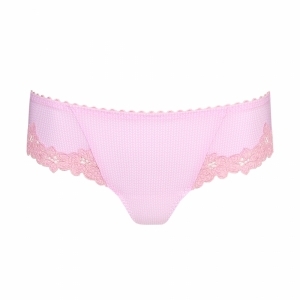 paloma lily rose