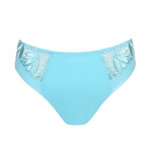 orlando jelly blue