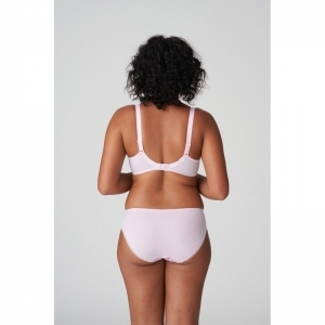 orlando sweet violet