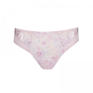 orlando sweet violet