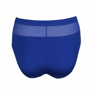 sophora blue print
