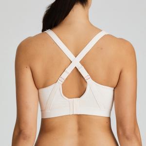the gym venus