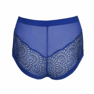 sophora blue print