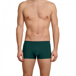 schssw20 dark green