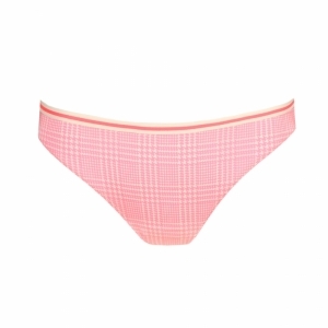 jose summer check