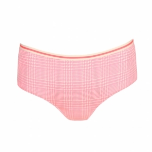 jose summer check