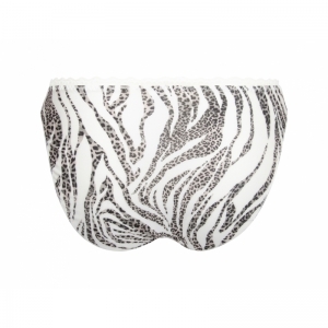 zebre rebelle zebre leo