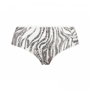 zebre rebelle zebre leo
