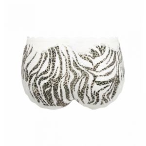 zebre rebelle zebre leo