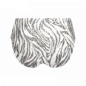 zebre rebelle zebre leo