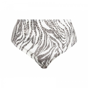 zebre rebelle zebre leo