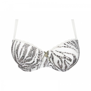 zebre rebelle zebre leo