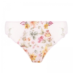 desir en fleur fleurs soleil