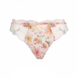 desir en fleur fleurs soleil