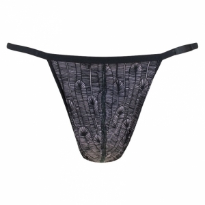 temptation esqui black print