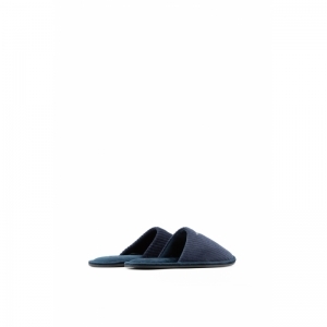 EAbasic blauw