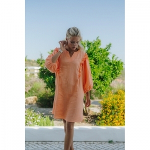 dido tetra oranje