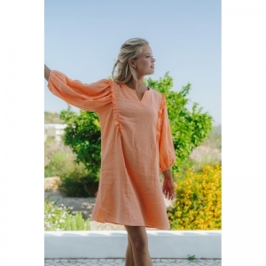 dido tetra oranje