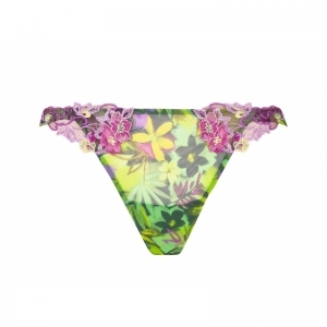 Imagine une ile ile en fleur