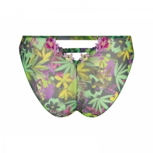 Imagine une ile ile en fleur