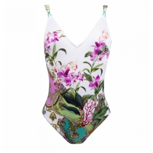 splendeur orchidee orchidee