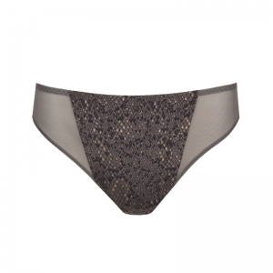 villemin kitten grey