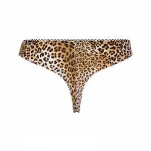 libre panthere Fauve panter