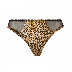 libre panthere Fauve panter