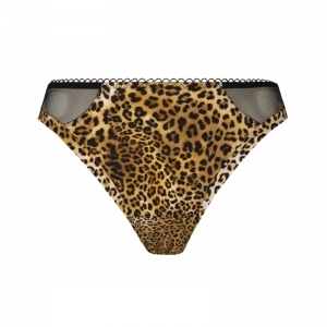 libre panthere Fauve panter