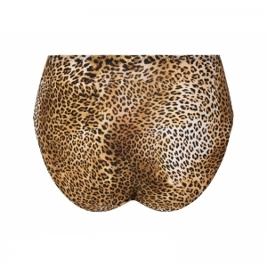 libre panthere Fauve panter