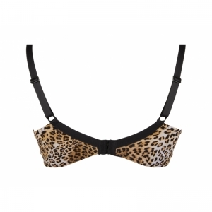 libre panthere Fauve panter