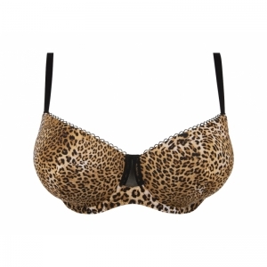 libre panthere Fauve panter