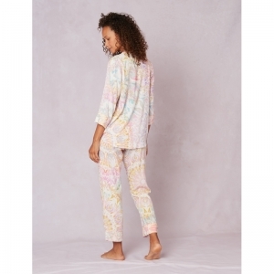 Fancy multicolor
