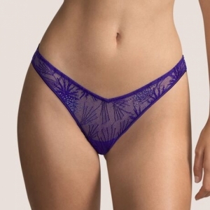 andraos funky violet
