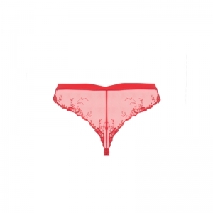 source beaute hibiscus