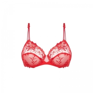 source beaute hibiscus