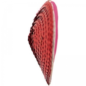 Heart nipple cover  rood
